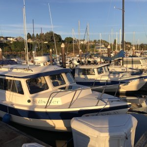 Media 'new and old' in album 'Chuckanut Bay, WA'