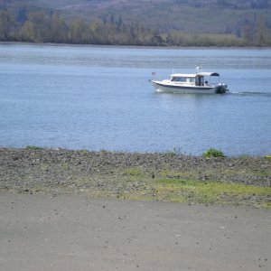 Traveler out for a Saturday cruise