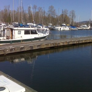TyBoo all alone at the dock
