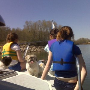 Media 'A once-in-a-lifetime ride for the girls and the dogs' in album 'Traveler out for a Saturday cruise'