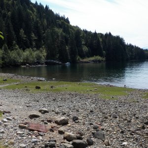 Deserted Bay hadn't been deserted for too long.  There was still an aluminum gang plank to a float covered with heron crap, otter puke, and flies.  Nice.  At the head of the bay was an outfall culvert that provided a very cold shower.