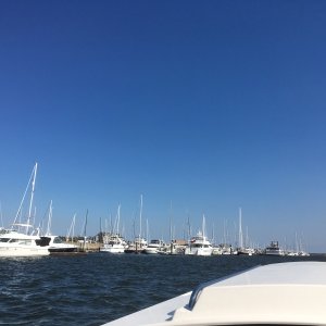 IMG 0642