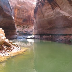 Cathedral in the Desert at 3650'