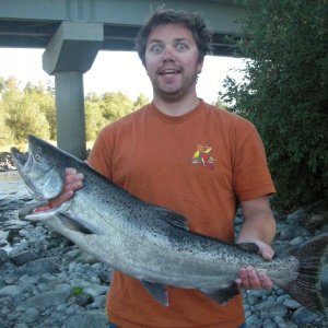 (estimated) 18# king salmon, caught casting and retrieving spinners, Forks Wa, Sept. 2009 nice sun burn too!