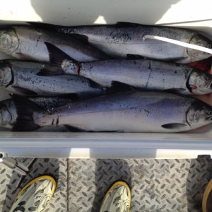 fishing15
