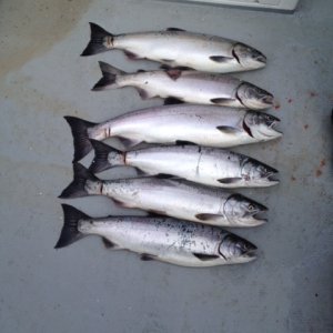 fishing16