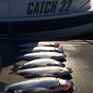 fishing17
