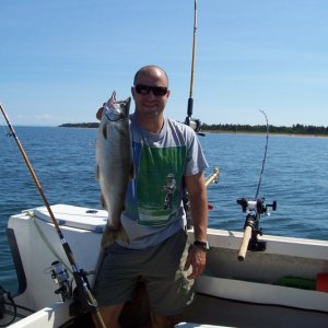 Mike Hammerbeck sportin' a nice Coho off Long Island