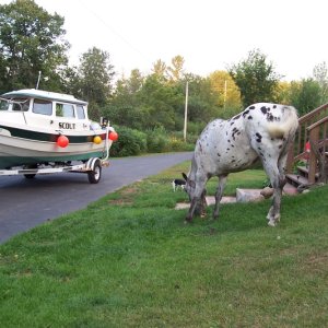 automatic riding mower