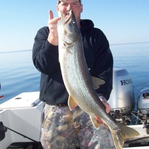 33 incher