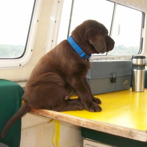Little Filson trolling