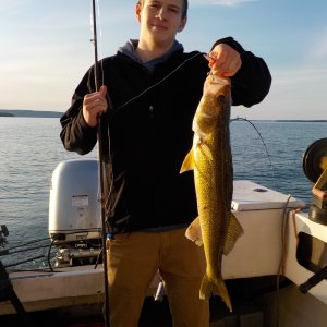 Walleye