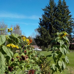 DSCN1805