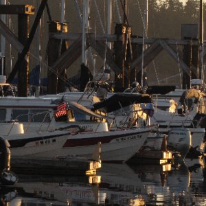 C-Dorys on H Dock in Early Morning Light