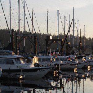 C-Dorys on H Dock in Early Morning Light
