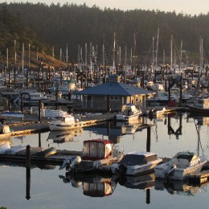 Friday Harbor Marina in Early Morning Light