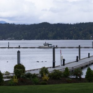 Hood Canal, Apr 30 - May 04, 2012 061 Alderbrook Inn.  Shared the place with a few Grebes, Barrow's Golden Eyes, Mallards, and Surf Scoters. No other boats. No other people.