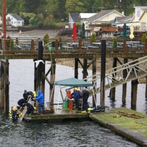 Media 'Hood Canal, Apr 30 - May 04, 2012 087 Hoodsport.  Dive class at the dock next to us.' in album 'Hood Canal, Apr 30 - May 04, 2012 002 Approaching the floating bridge from the N.'