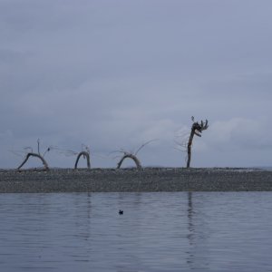 Hood Canal, Apr 30 - May 04, 2012 093 Sea Monster at Hood Head from south of the spit