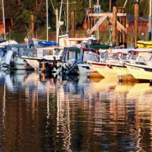 Media 'Friday Harbor C-Dorys at Dawn' in album 'Friday Harbor C-Dorys at Dawn'