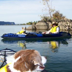 Media 'Namesake in foreground w/Rose & Emily' in album 'Friday Harbor C-Dorys at Dawn'