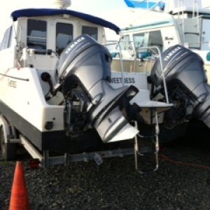 photo5