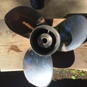 15.5 diameter 2