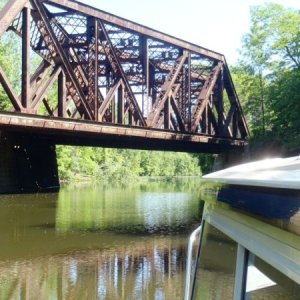 Media '20.) Downed tree in the canal, we just made it by.' in album '1.) First mate riding bike along the Western Erie Canal'