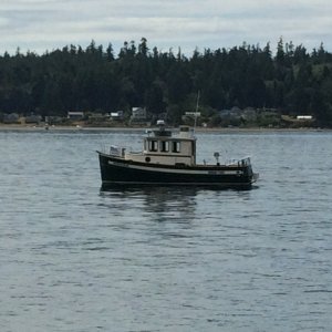 exploring Jack Island