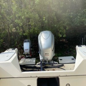 image10