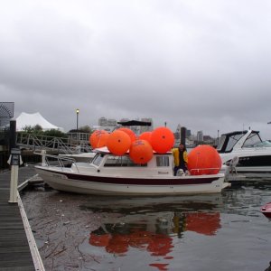 Media '(Minnow) More flotation? No, we set the course and clocked the distance.' in album '(Minnow) More flotation? No, we set the course and clocked the distance.'