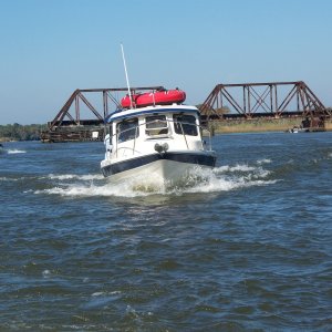 Media 'Apalachicola River cruise' in album 'Bubbles'