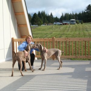 Media '(Da Nag) Dana and dogs on deck' in album '(Da Nag) View from the top'