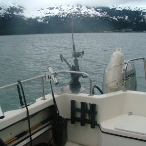 Trolling in Passage Canal - Whittier Alaska in background.