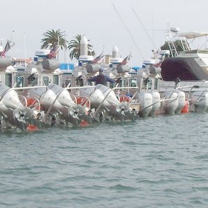 (Sneaks) These guys are ready for the Brats; 2700 hp worth of Coast Guard Hondas.