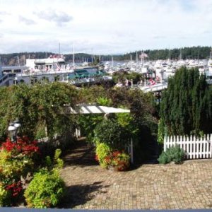 A view of the marina, Roche Harbor