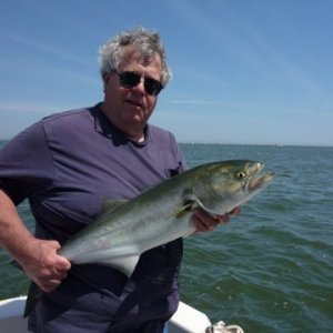 20 # pound test 1 oz bucktail with trailer hook slipped on the rear of the bucktail. Just add long strip of mackeral. Bluefish are notorious tail biters the second trailer hook is where they end up most all the time.