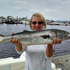 May 27th 2014 Ginny had the best fish of the day, Near Little Beach Little Egg Inlet N.J.