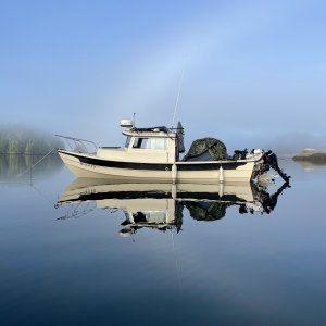 Media 'First night in the Broughton Archipelago. Woke up in the calm bay at Village Island. The kids pupped the tent.' in album 'After fishing all morning beaching to check for campsite at Beer point campground as the rain began to pour. Malcom Island Sept. 2021.'