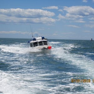 Playing in the wake