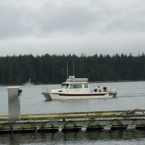 Dreamer arriving at Port McNeill