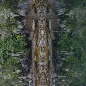 Media 'Shoreline Totem' in album 'Kingfisher II, The sailing version!'