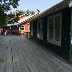 boardwalk at Telegraph Cove