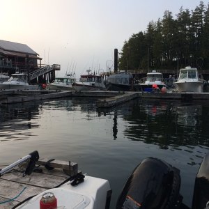 Media 'Sundown at Telegraph' in album 'boardwalk at Telegraph Cove'