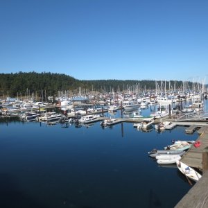 09-28-14 San Juans 15 - Friday Harbor
