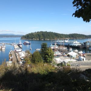 09-28-14 San Juans 16 - Friday Harbor