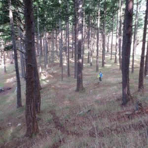 Media 'The mystical woods on James Island 10-5-14' in album 'At Kingston marina Aug 16, 2014'