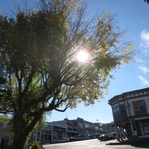 Friday Harbor in fall. 10-5-14