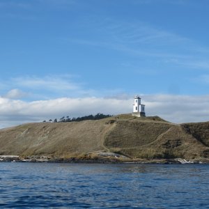 Cattle Point on our way home, hoping to spot some whales. 10-5-14