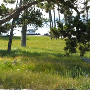 Eagle Bay, Yellowstone Lake